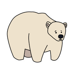 big white polar bear on white background