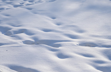 Snow winter background.
