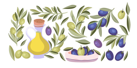 Olive plant isolated vector food set. Mediterranean organic nature and oil flat collection with green and black olives.