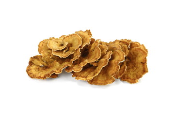 Trametes versicolor, also known as coriolus versicolor and polyporus versicolor mushroom, the best...