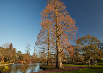 Tranquil scene of a lake and trees on a bright sunny day.