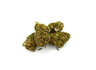 Close up of indica prescription and recreational medical marijuana flower bud isolated on white background. Medical marijuana.Therapeutic and medicinal cannabis. Marijuana nugget.