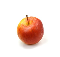 Overripe Rotten apple isolated on a white background