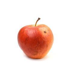 Overripe Rotten apple isolated on a white background