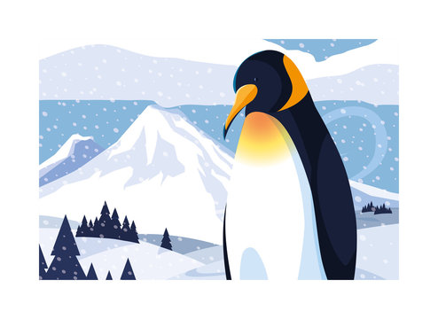 penguin at the north pole, arctic landscape