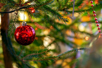 Close up shot of a christmas tree