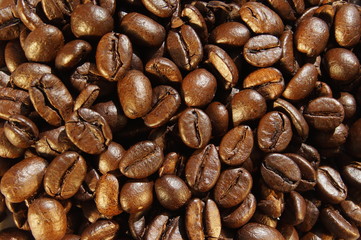 natural roasted coffee in daylight