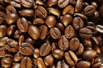 coffee beans close-up in warm light