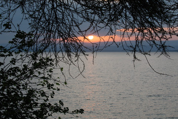 Sunrise at baringo lake filtered by branches