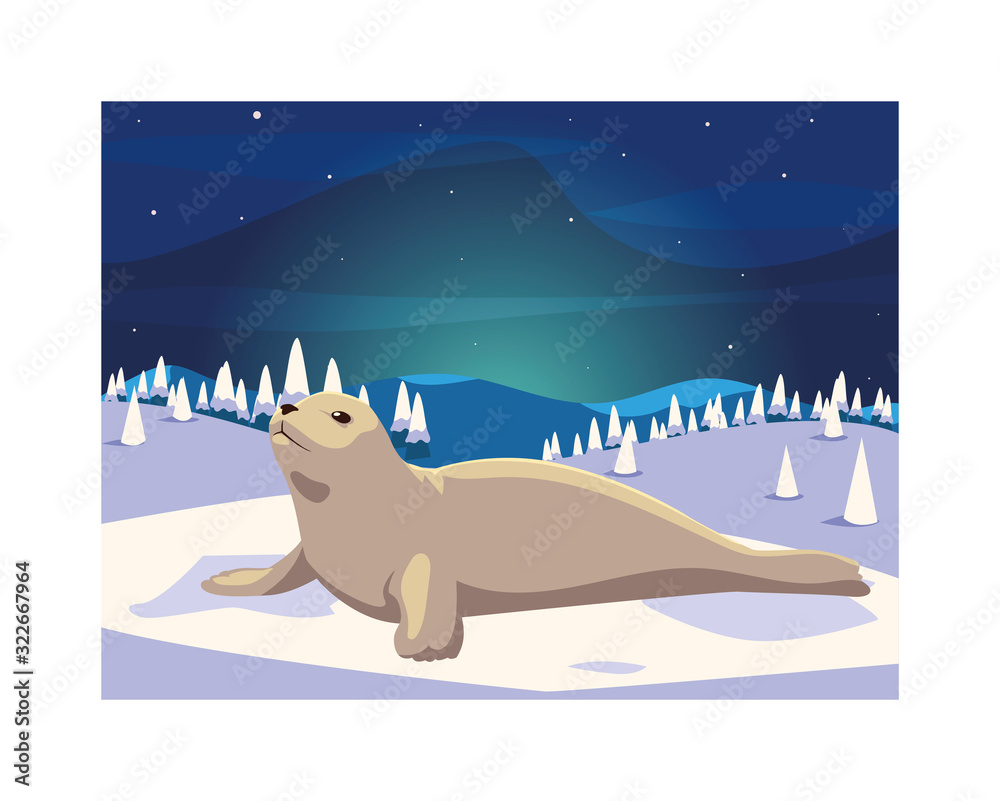 Canvas Prints seal at the north pole, arctic landscape