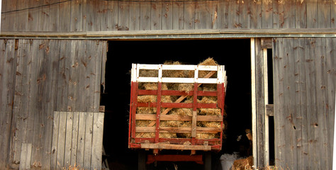 Amish Wagon in Barn WFT