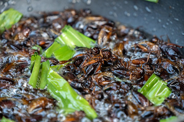Southeast Asia, Thailand fried crickets are cooked by oil in the pan with outdoor portable picnic gas stoveat.