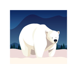 polar bear at the north pole, arctic landscape