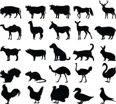 Farm animals silhouette vector on white background