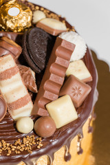 Tasty chocolate cake isolated close up