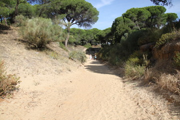 wąwóz -droga do plaży w Hiszpanii