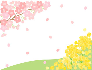 Fototapeta na wymiar 春素材13　桜　菜の花