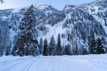 Fototapeta na wymiar beautiful winter landscape in the mountains Alps - in the dusk