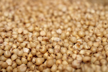 Closeup of Jowar grain (Sorghum).