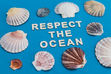 respect the ocean text surrounded by colorful shells on blue background