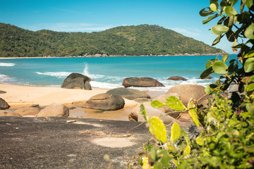 Beautiful Parnaioca beach with crystal blue water, clear sand and tropical tree on a deserted beach on the sunny coast of Rio de Janeiro, Ilha Grande, in the city of Angra dos Reis, Brazil