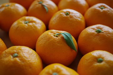 葉っぱの付いたみかん