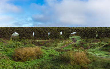 Historic Coal Aqueduct covered with plants and mosses in Sao Miguel, Azores, Portugal