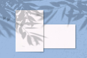 2 Sheets of white texture paper on a blue background. Mockup with overlay of plant shadows . Natural light casts the shadow of field plants and flowers from above