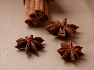 Cinnamon stick with star anis on the craft background