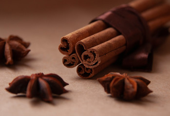 Cinnamon stick with star anis on the craft background