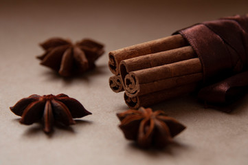 Cinnamon stick with star anis on the craft background