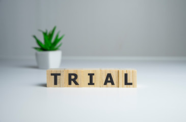 trial, word cube on wood background, business concept.