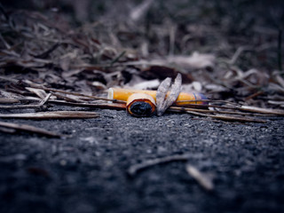 burnt cigarette on the sidewalk