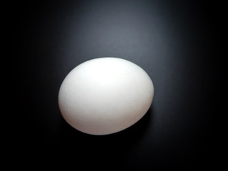 white egg lies on a black background
