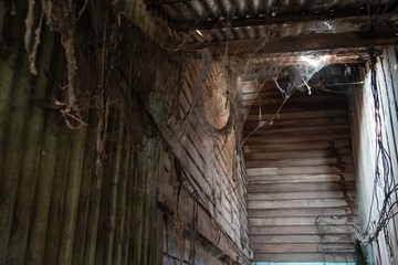 Abandoned wooden house. a lot of cobwebs and garbage in abandoned wooden house.