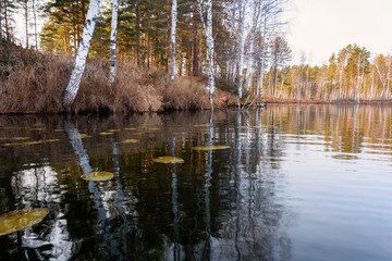 Obraz premium Trees in the autumn forest are reflected in the lake on a Sunny day