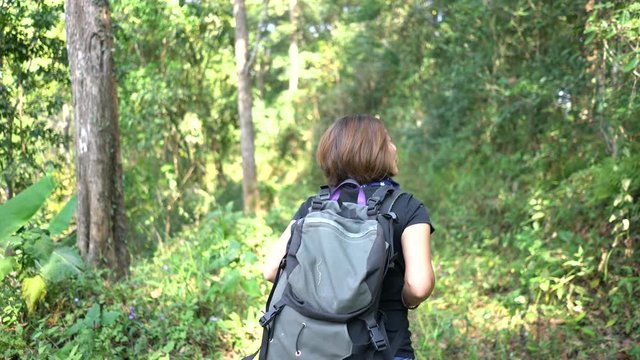 Hipster woman walking to the forest for hiking on mountain