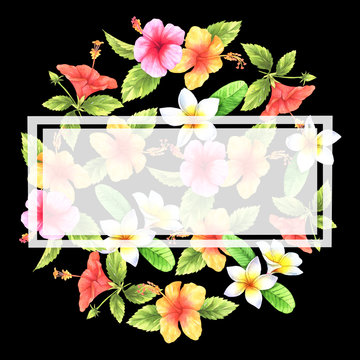 Hibiscus, plumeria and leaves in circle composition. White square frame diluted in the middle.  watercolor illustration. Perfect for invitation cards, greeting cards, print etc