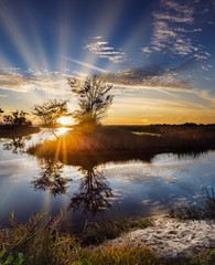Dramatic sunset in Florida with birds