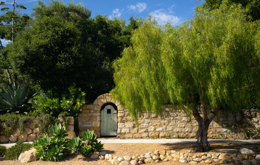 Pepper tree and sandstone wall