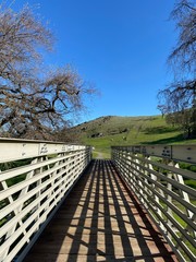 bridge in park