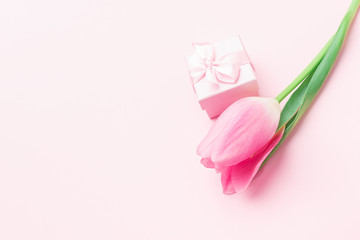 Minimal flower composition. Pink tulip and present box on pink pastel background. Flat lay, top view, copy space, mock up.