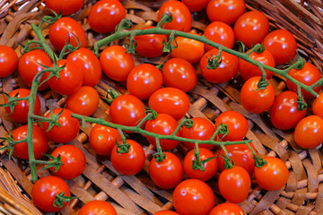 Branches of colorful tomatoes at the farmers market