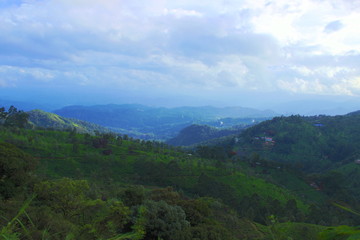 A HDR shot of Nilgiri Meadows from higher grounds