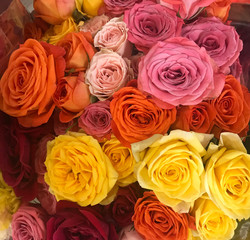 Valentine's Day FLOWERS