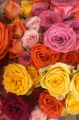 Valentine's Day FLOWERS