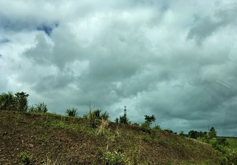 Obraz premium Closeup view of purple and white Daisy Flower