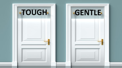 Tough and gentle as a choice - pictured as words Tough, gentle on doors to show that Tough and gentle are opposite options while making decision, 3d illustration