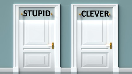 Stupid and clever as a choice - pictured as words Stupid, clever on doors to show that Stupid and clever are opposite options while making decision, 3d illustration