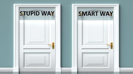 Stupid way and smart way as a choice - pictured as words Stupid way, smart way on doors to show that Stupid way and smart way are opposite options while making decision, 3d illustration